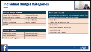 Individual Budget Categories